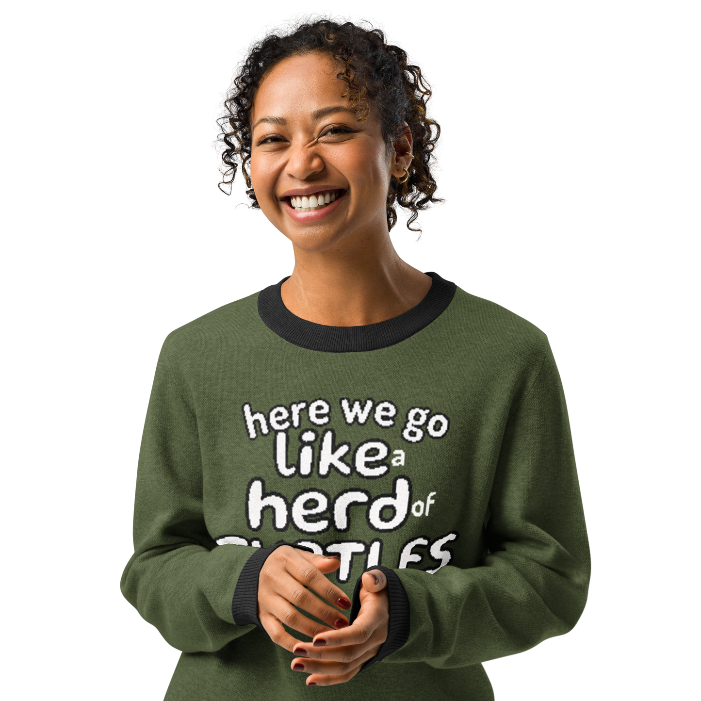 Here We Go Like a Herd of Turtles knitted sweater