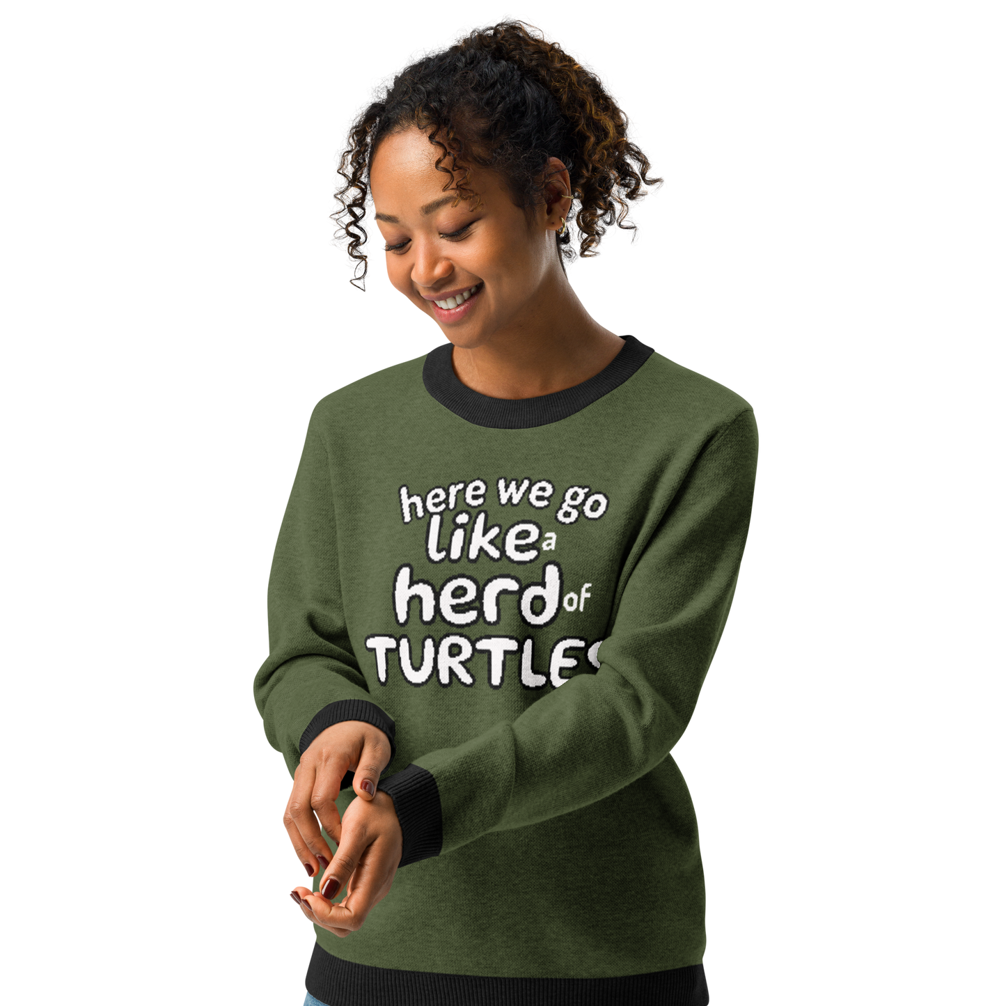 Here We Go Like a Herd of Turtles knitted sweater