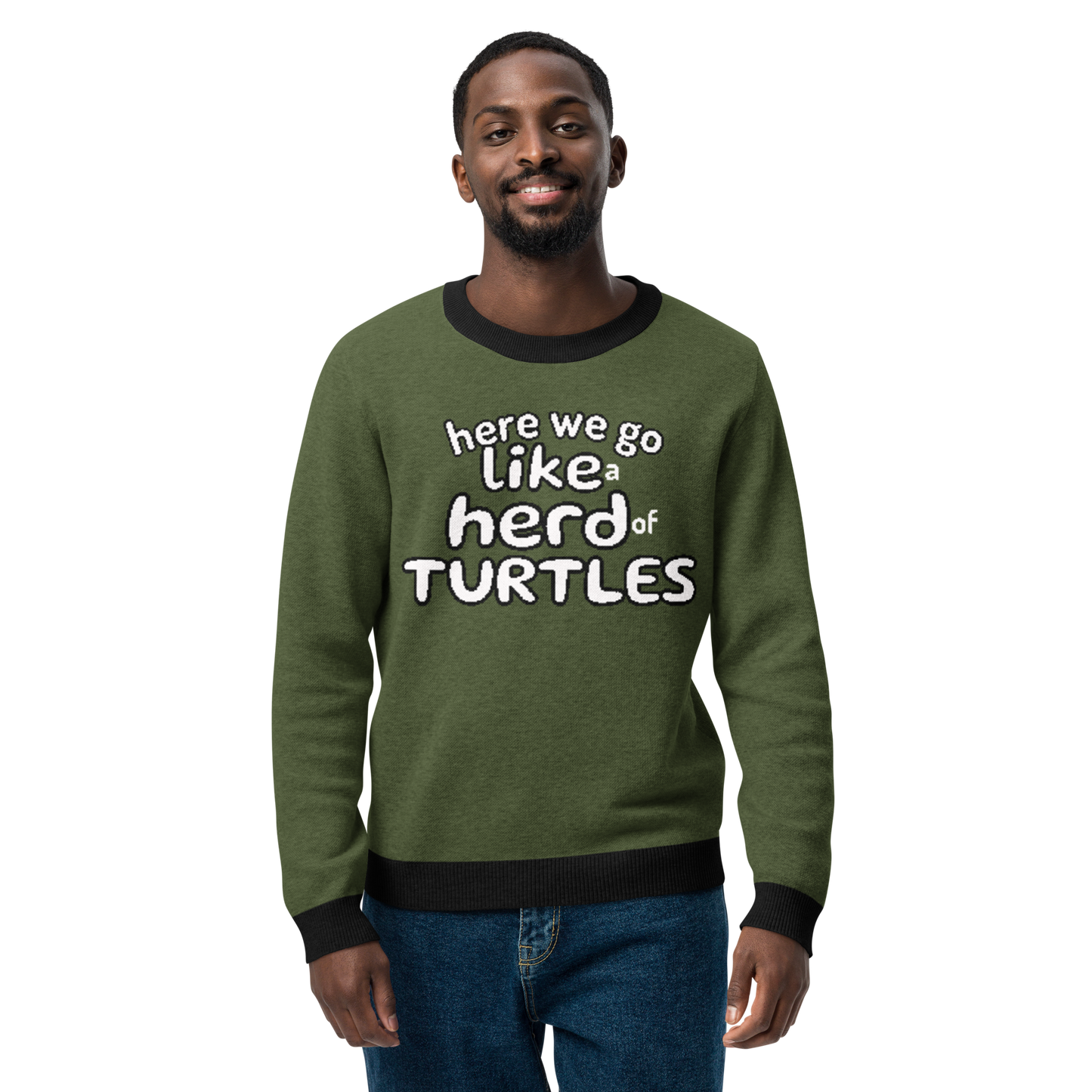 Here We Go Like a Herd of Turtles knitted sweater