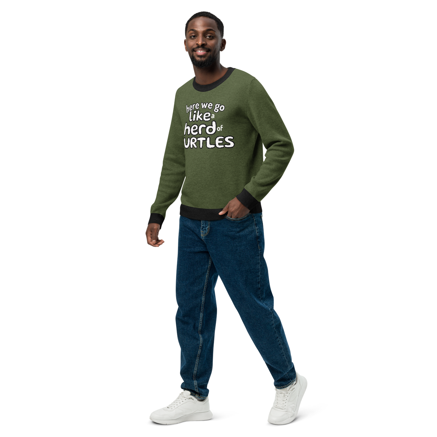 Here We Go Like a Herd of Turtles knitted sweater